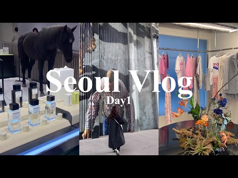 【韓国Vlog🇰🇷】食べまくり2泊3日韓国旅行｜明洞｜アパレル巡り｜ソウルカフェ｜TAMBURINS｜Mardi Mercredi｜ADERERROR