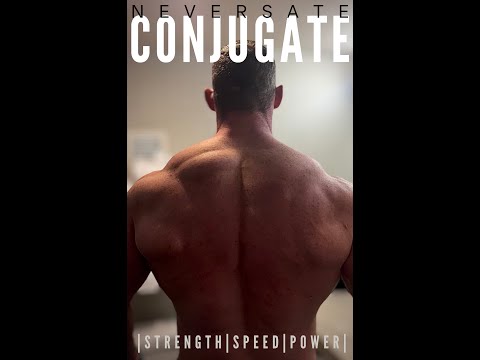 CONJUGATE PROGRAM & FREE TEMPLATE! $25 CONJUGATE AVAILABLE!