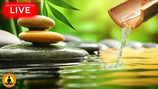 🔴 Relaxing Zen Music 24/7, Healing Music, Meditation Music, Spa Music, Sleep, Zen, Nature Sounds