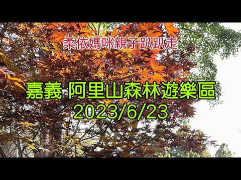 嘉義阿里山森林遊樂區  2023/6/23-03