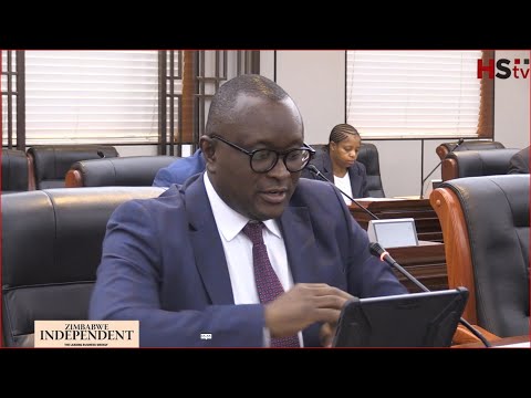 Government worries over prices after  ZIG falls #hstvzim #cabinet