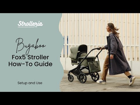 Bugaboo Fox5 Stroller Setup and How-To Guide