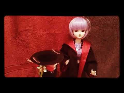 Magic show,  stop motion,  BJD.