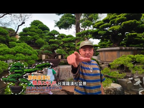 |你在找的就是他嗎？|#台灣銘園 #台灣銘園園藝事業有限公司 #園藝