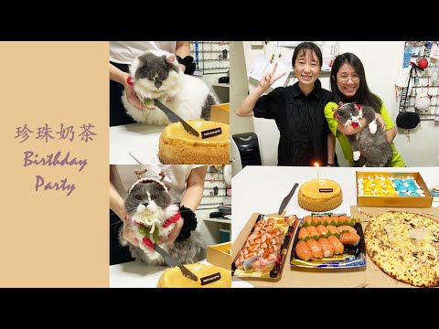 猫咪生日派对——珍珠奶茶 Birthday Party