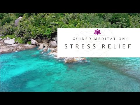 Guided Meditation Stress Relief - Mindfulness Meditation