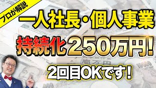 【2回目OK！】小規模事業者が貰える最大250万円の「ヤバい補助金」が登場！動画を見たら今すぐ準備してください！