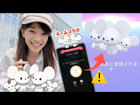 その進化、ちょっと待った！！激レア「イッカネズミ３びきかぞく」をタスクやチームコラボで探してみた結果！？【ポケモンGO】