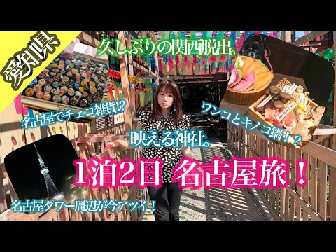 1泊2日 名古屋旅！久しぶりに関西を出ました！/伊奴神社/別小江神社/天然温泉リブマックス/個室のキノコ鍋！？/名古屋タワー周辺/映える神社