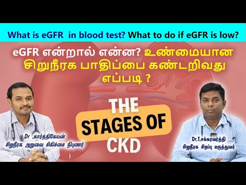 eGFR என்றால் என்ன? உண்மையான சிறுநீரக பாதிப்பை கண்டறிவது எப்படி ?what is eGFR  in blood test?