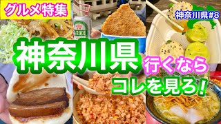 絶品旅【神奈川グルメ】横浜中華街！家系ラーメン！ご当地グルメ詰め合わせ！