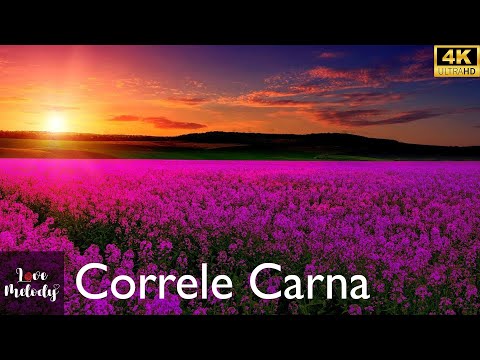 Correle Carna (Audio)