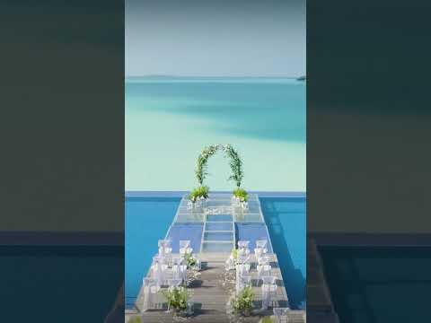 Your Dream Wedding Awaits