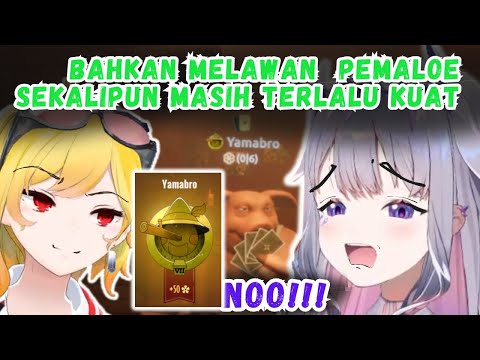 Like Oshi Like Fans, BIBO Ga Bisa Menang Dari KAELA Even Lawannya Pemaloe.. Yamabro Pemaloe Sejati