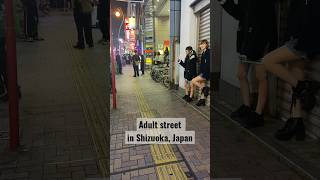 Shizuoka City night life, Japan #shorts #shortvideo #viralshorts