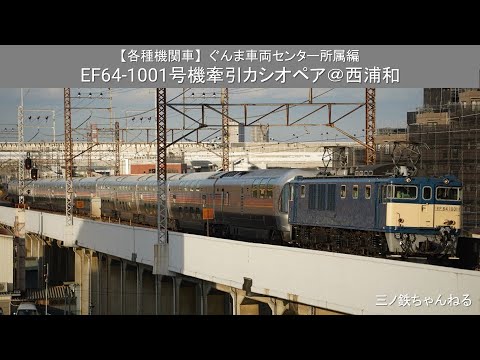 【機関車各種】ぐんま車両センタ－所属編　EF64-1001号機牽引カシオペア@西浦和（2022年17時11分）