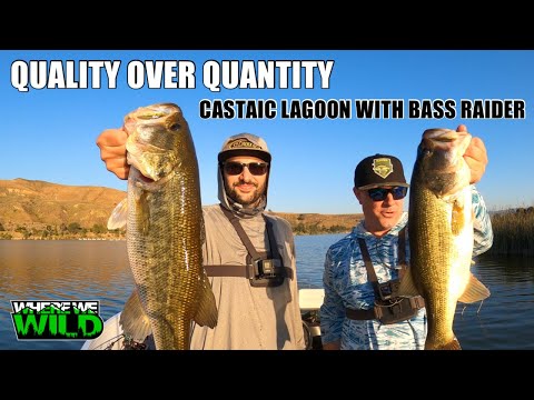 QUALITY OVER QUANITY - Castaic Lake Lagoon with BASS RAIDER