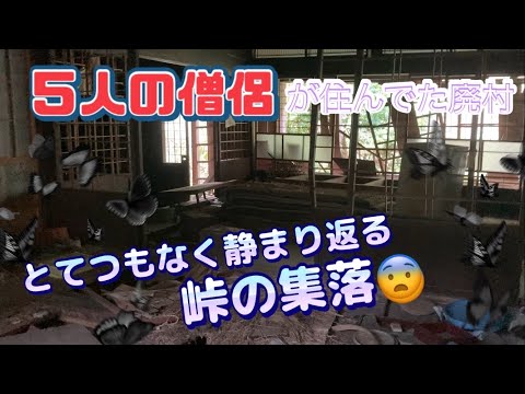 【廃村集落】５人の僧侶が逃げ隠れて住み着いた集落　朽ち果てつつある廃屋の探索　見たことのない残留物に驚きっ🫢