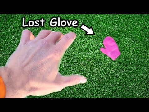 I Found Every Lost Glove In My Neighbourhood