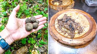 野生のトリュフで狂うほど美味い料理を発明した