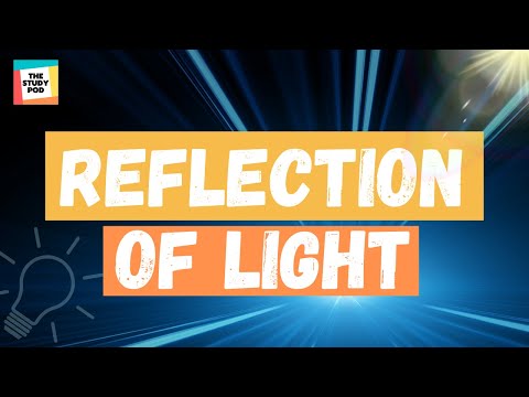 REFLECTION OF LIGHT | SCIENCE |The Study Pod