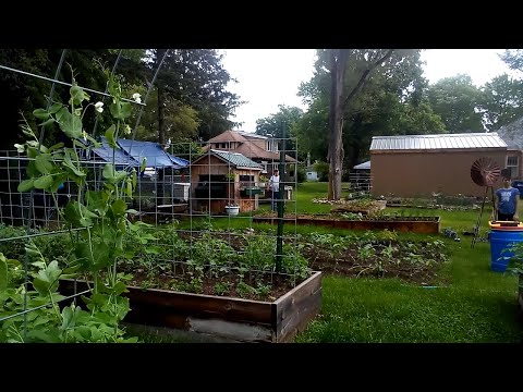 Come See our Homestead | A Little Bit of Our Life