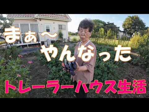 【元気な老後】これがお金だった儲かるのに・・・（笑）　#395