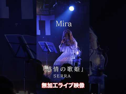 【無加工】Mira - SERRA #アコースティック #おすすめ #ライブ #オリジナル