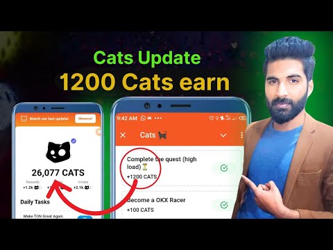 Cats complete the quest | high load | Boost your cats earnings | free crypto | airdrop #aqibntv