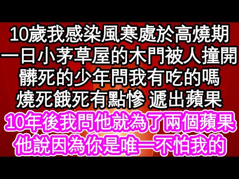 10歲我感染風寒處於高燒期，一日小茅草屋的木門被人撞開，髒死的少年問我有吃的嗎，燒死餓死有點慘 遞出蘋果，10年後我問他就為了兩個蘋果，他說因為你是唯一不怕我的| #為人處世#生活經驗#情感故事#養老