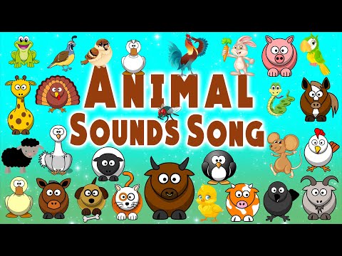 Animal Sounds Song | Animal Songs for Kids | LittleKidsTV