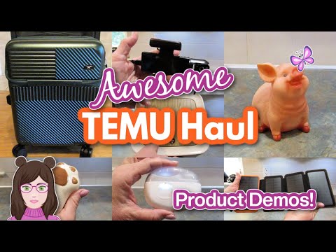 TEMU HAUL!  Amazing Finds Plus Demos!