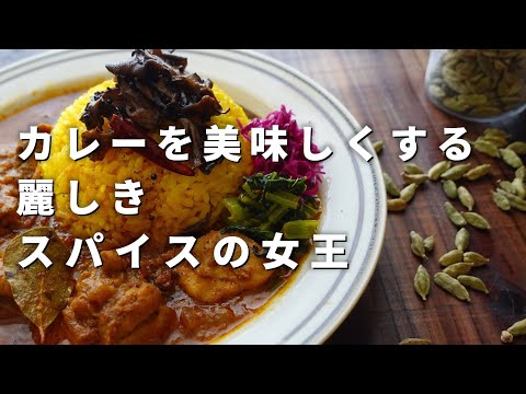 スパイスの女王に魅せられる！カルダモンの特長＆おいしいカレーレシピ｜スパイスカレー