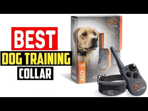 ✅Best Dog Training Collar in 2023