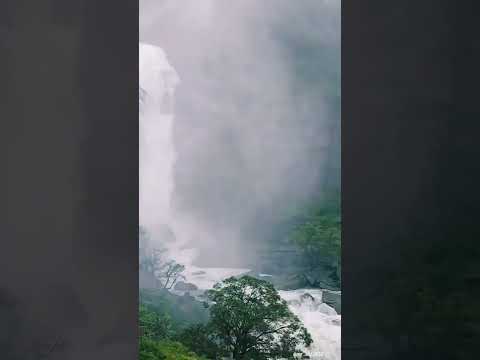 Malali Falls 📍 #shorts #travelkarnataka