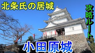 【城めぐり】北条氏の居城　小田原城　神奈川県【攻略ルート】