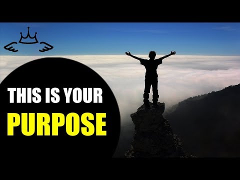 This Is Your Purpose  - How To Know What To Do In Life