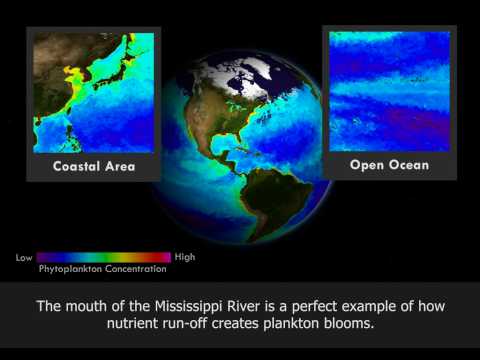 NOAA: The Dead Zone