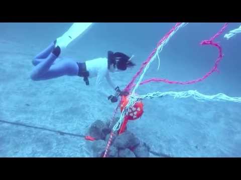 Recreational Freediving! Posting in 20m deep post! - IOP, February 2015 (IOP)