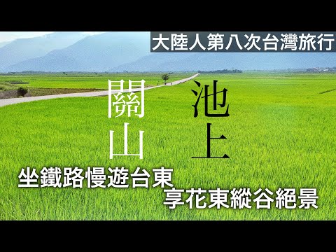 去台東的小鎮上慢遊！被綠色治愈的一天！【台灣行#2】