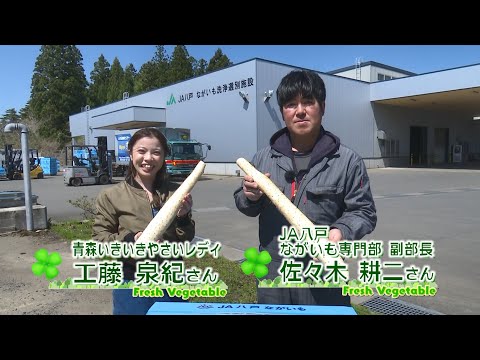 2023年5月19日放送「Fresh Vegetable」旬の青森県産春掘りながいもを紹介～JA八戸より～