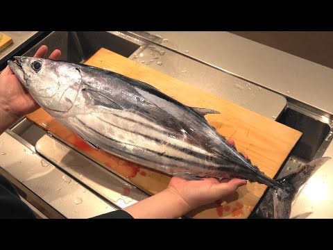 カツオのさばき方と刺身の作り方（Bonito sashimi）