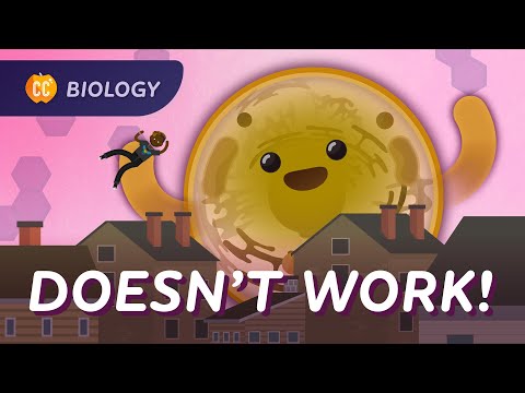 Multicellular Function: Why We Aren’t Just One Big Cell: Crash Course Biology #41