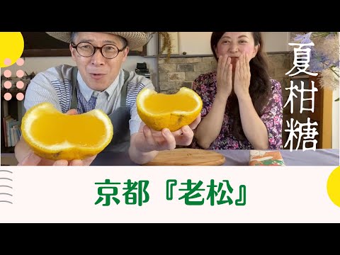 【 絶品！限定京菓子 】京都老舗『老松』の期間限定「夏柑糖」をお取り寄せ🍊 スイーツ 和菓子 レア 北野天満宮 上七軒