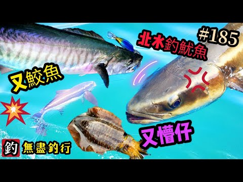 杜小銘的無盡釣行#185_#釣魚 #香港釣魚 #釣り #艇釣 #船釣 #北水 #lure #馬友 #魷魚 #大尾魷 #餌木 #eging #針墨 #墨魚 #鮫魚 #懵仔 #鯨龍 #假餌 #鰆