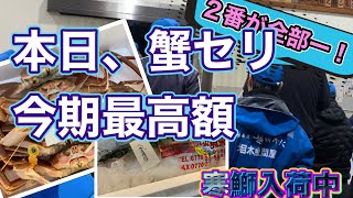 『今年最後の蟹セリ、今期最高額！寒鰤入荷中！』相木魚問屋6/12/26