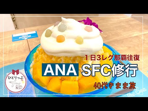 食も楽しむSFC修行2日目【ANA】１日３レグ那覇往復｜40代ひとり旅｜（５～７レグ目の記録）（＃２５）