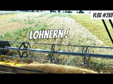 Vlog #269 The first batch of wheat! Top or flop?