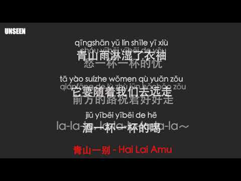 青山一别 - qing shan yi bie - 海来阿木 - Hai Lai Amu ｜Lyrics - 歌词