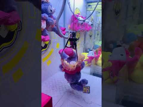 Challenge Day 15 : Catch a doll 1 time/day  #shorts #subscribe #share #viral #thailand #bear #teddy